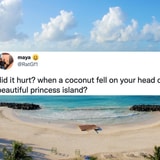 Beautiful Princess Island, Mastodon For Beginners And This Week's Other Best Memes, Ranked