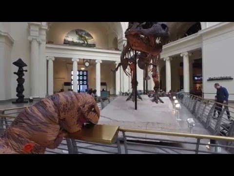 Someone Dressed Up As A T-Rex, Went Inside Chicago's Field Museum And Hilariously Broke Down After Seeing An Old Friend